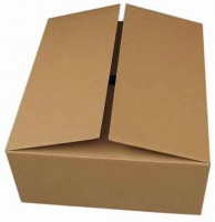 /album/cajas-corrientes/manufacturas-y-corrugados-7-jpg3/